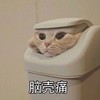 呆贼呆贼呆呆贼