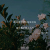 陀螺是大王