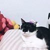 王