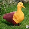 eilpjm_