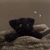 🎧银杏两页书