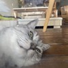 王钰文