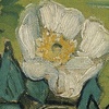 71