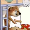 创议