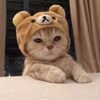 伊娃