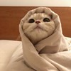 yiii___