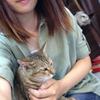 陈怡安