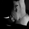 Yin