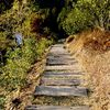 烙印