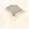 falling_bonus_rgs