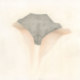 falling_bonus_rgs