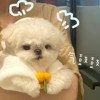 村口婆婆??