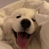 喜欢听音乐の人ദ്ദി^._.^)