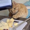 小驴