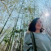 飞菲妃