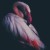twilight_bread_qzs