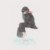 fish_yu22