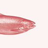 iiru0