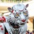 艾小小小伦