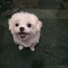 Fiona