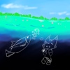 foxfish