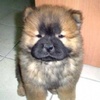 Freddy_Tsai