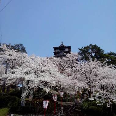 机密/北区