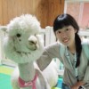蔡亚庭