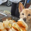 苏苏
