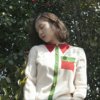 蔡维泽的女朋友