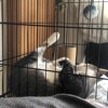 なんでも