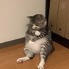黄