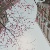 gracehan0424