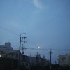 恐龙不笨