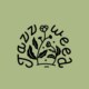 Jazzweed.芥子草