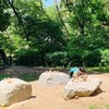 Mt.Mu