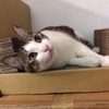 Chloe 