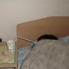立法