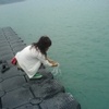 Green 毛