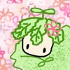 过年蔬菜