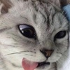 红