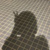 h.