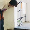 陈撒野