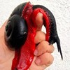 火焰蜗蜗