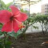 蒲世祐