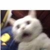琨昱