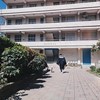 顺仔