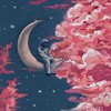 宇宙杂货间