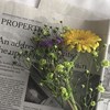 aaaa