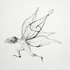 _ _ _Murmur